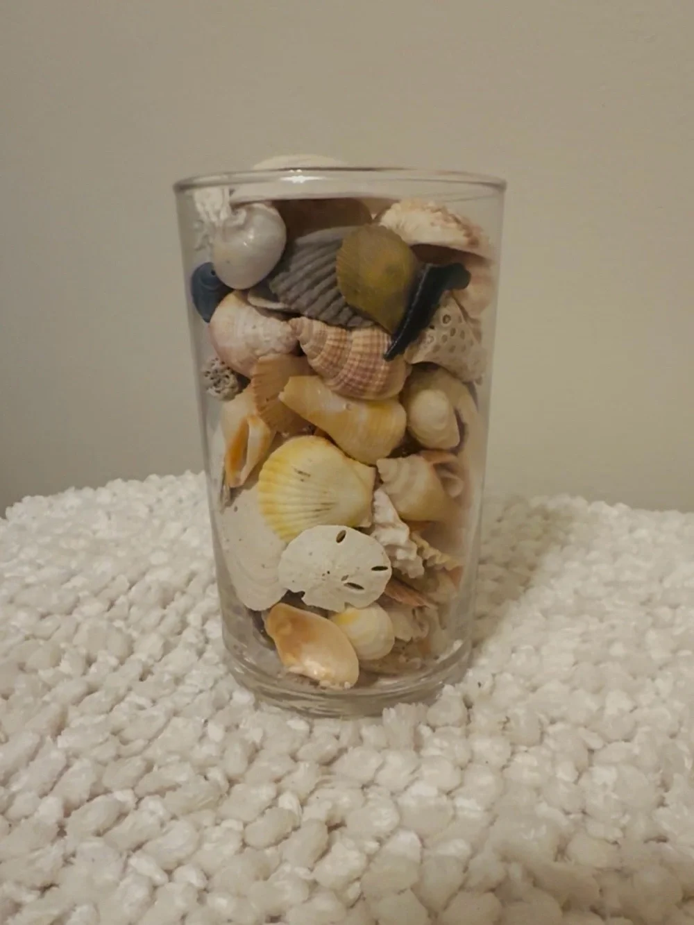 Decorative Glass Jar w/authentic local FL handpicked shells.